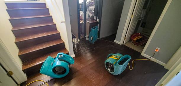 Best Flooded house restoration  in Rpinteria, CA