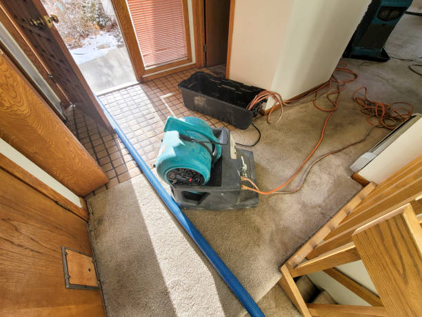 Best Water damage contractors near me  in Rpinteria, CA