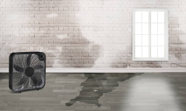 Local water damage restoration in Carpinteria, CA
