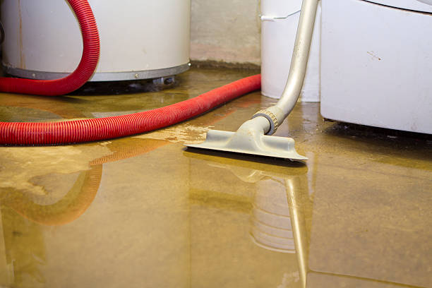 Best Basement water damage restoration  in Rpinteria, CA