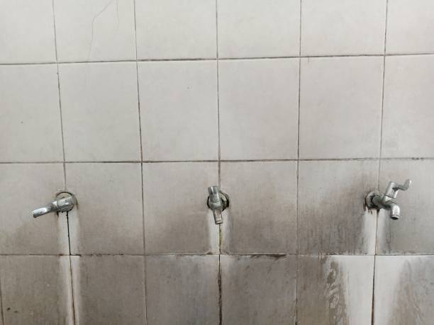Best Water damage restoration near me  in Rpinteria, CA