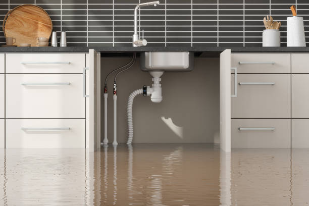 Best Sewage cleanup and water damage restoration  in Rpinteria, CA