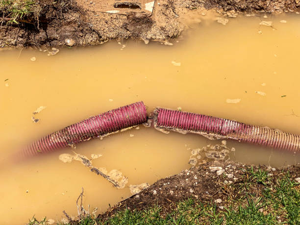Professional Water damage restoration in Carpinteria, CA